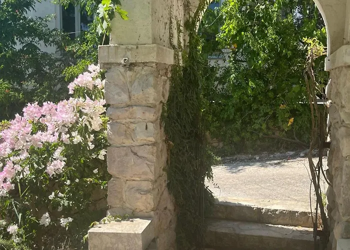Seaside House Zdrelac, Pasman - 340 Σπίτι διακοπών *