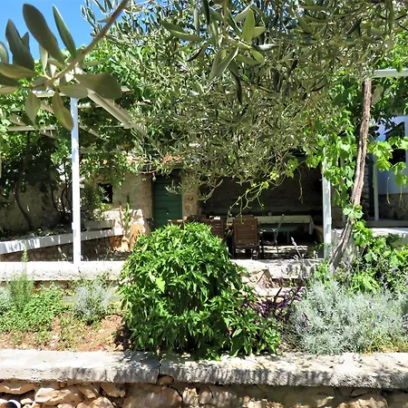 Tatil Evi Seaside House Zdrelac, Pasman - 340